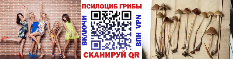 Галлюциногенные грибы GOLDEN TEACHER  Приморск 